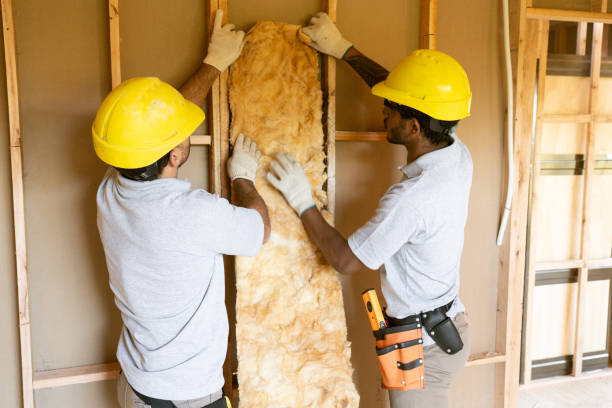 Best Insulation Inspection Services  in USA